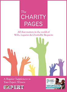 Charity Pages Issue 13