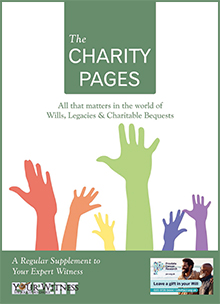 Charity Pages Issue 17