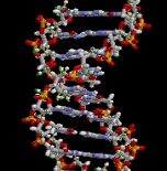 Illustration of DNA double-helix for Your Expert Witness story
