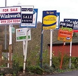 House for sale signs for Expert Witness story
