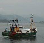 Picture of a fishing trawler for Your Expert Witness story