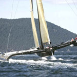 Your Expert Witness americas cup