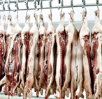 Picture of pigs hanging up for your Expert witness story