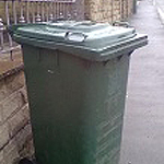 Your Expert Witness wheelie bin