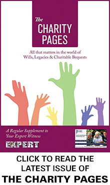 The Charity Pages Issue 30
