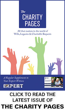 The Charity Pages Issue 31