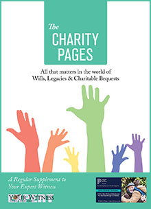 The Charity Pages Issue 33