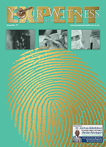 Your Expert Witness Issue 77