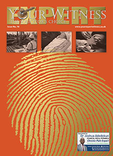Your Expert Witness Issue 78