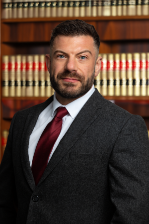 David Emin Professional Picture 002