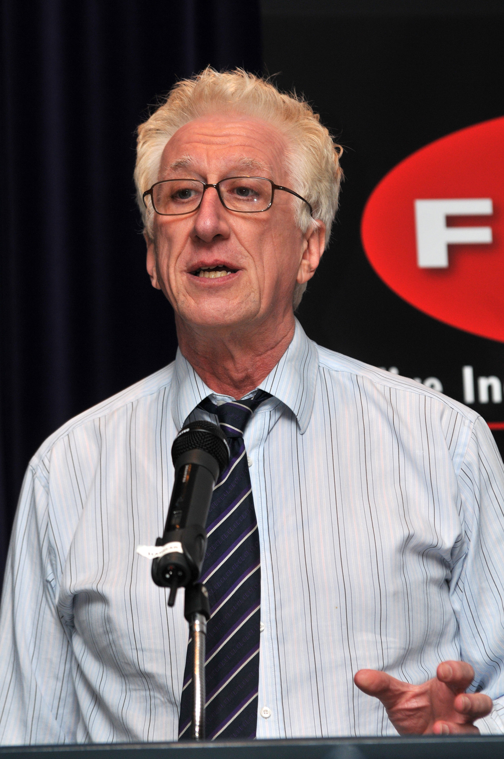 Expert Witness scaled