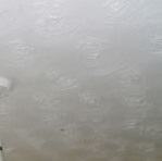 picture of asbestos coating for Your Expert Witness story