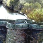 Your Expert Witnes cross border expertise