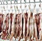 Picture of pigs hanging up for your Expert witness story