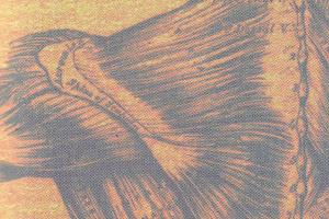 Your Expert Witness shoulder