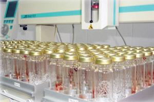 Your Witness toxicology