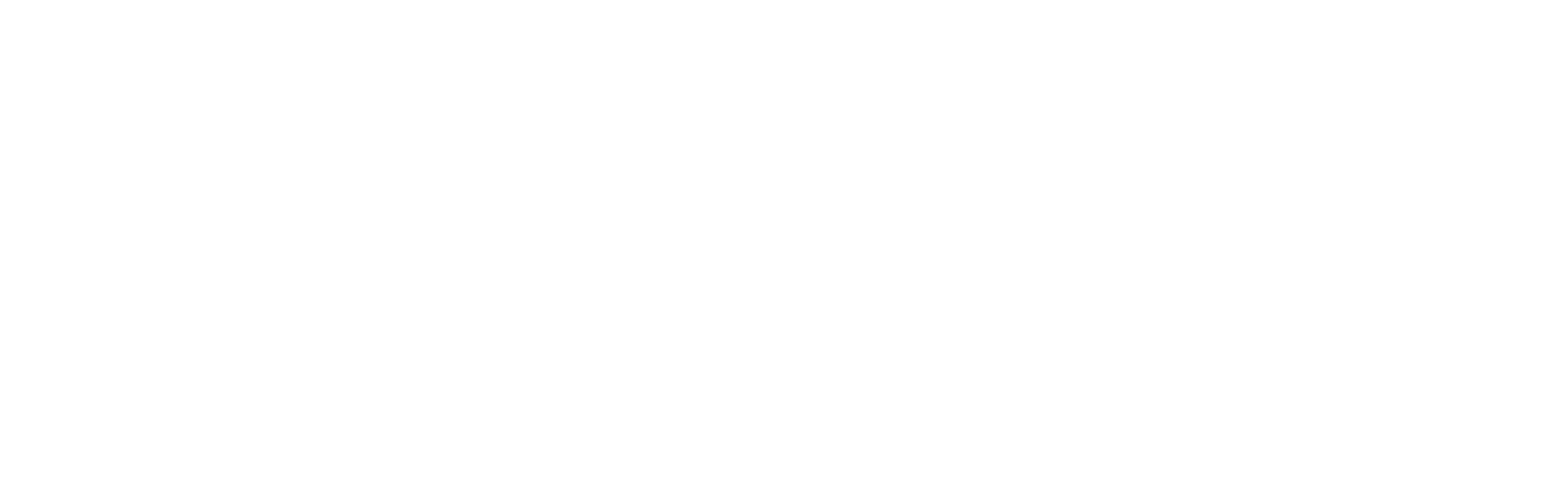 White logo no background scaled