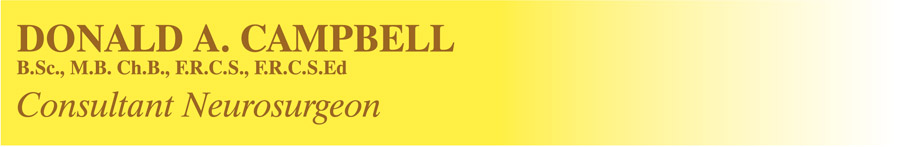 Your Expert Witness Donald A Campbell Your Expert Witness Donald A Campbell