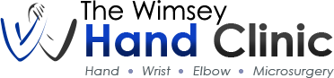 wimsey header logo