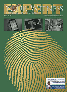 Your Expert Witness Issue No. 71