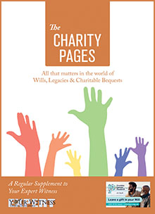 Charity Pages Issue 28