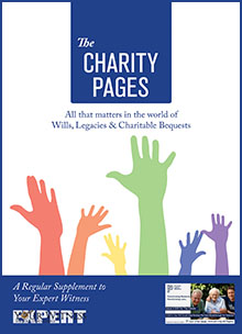 The Charity Pages Issue 31