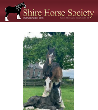 shire